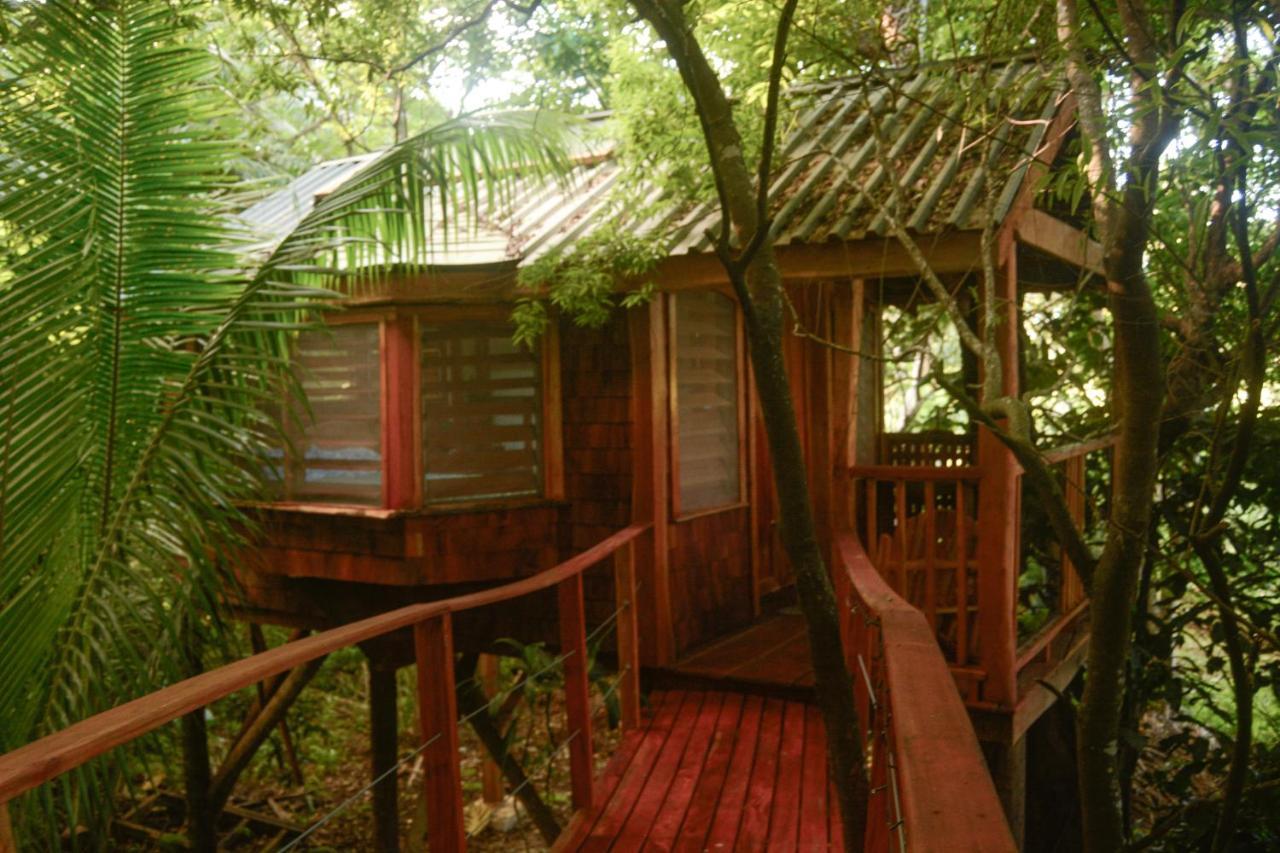 Tukulolo Treehouses Makaunga Εξωτερικό φωτογραφία