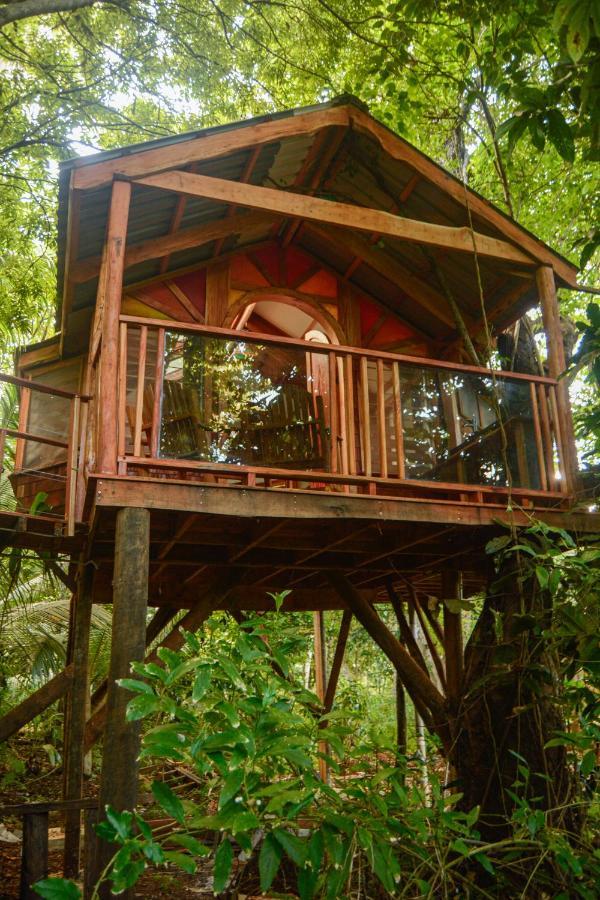 Tukulolo Treehouses Makaunga Εξωτερικό φωτογραφία