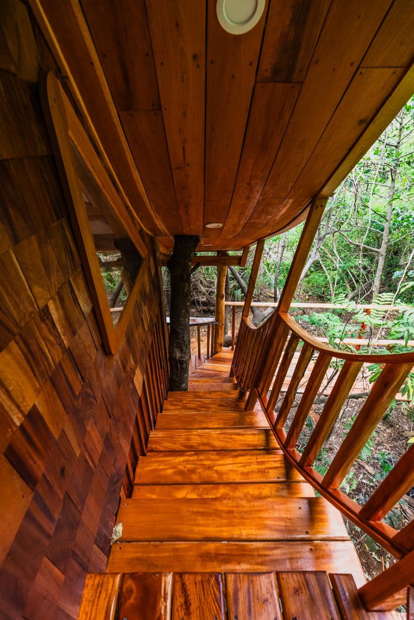 Tukulolo Treehouses Makaunga Εξωτερικό φωτογραφία