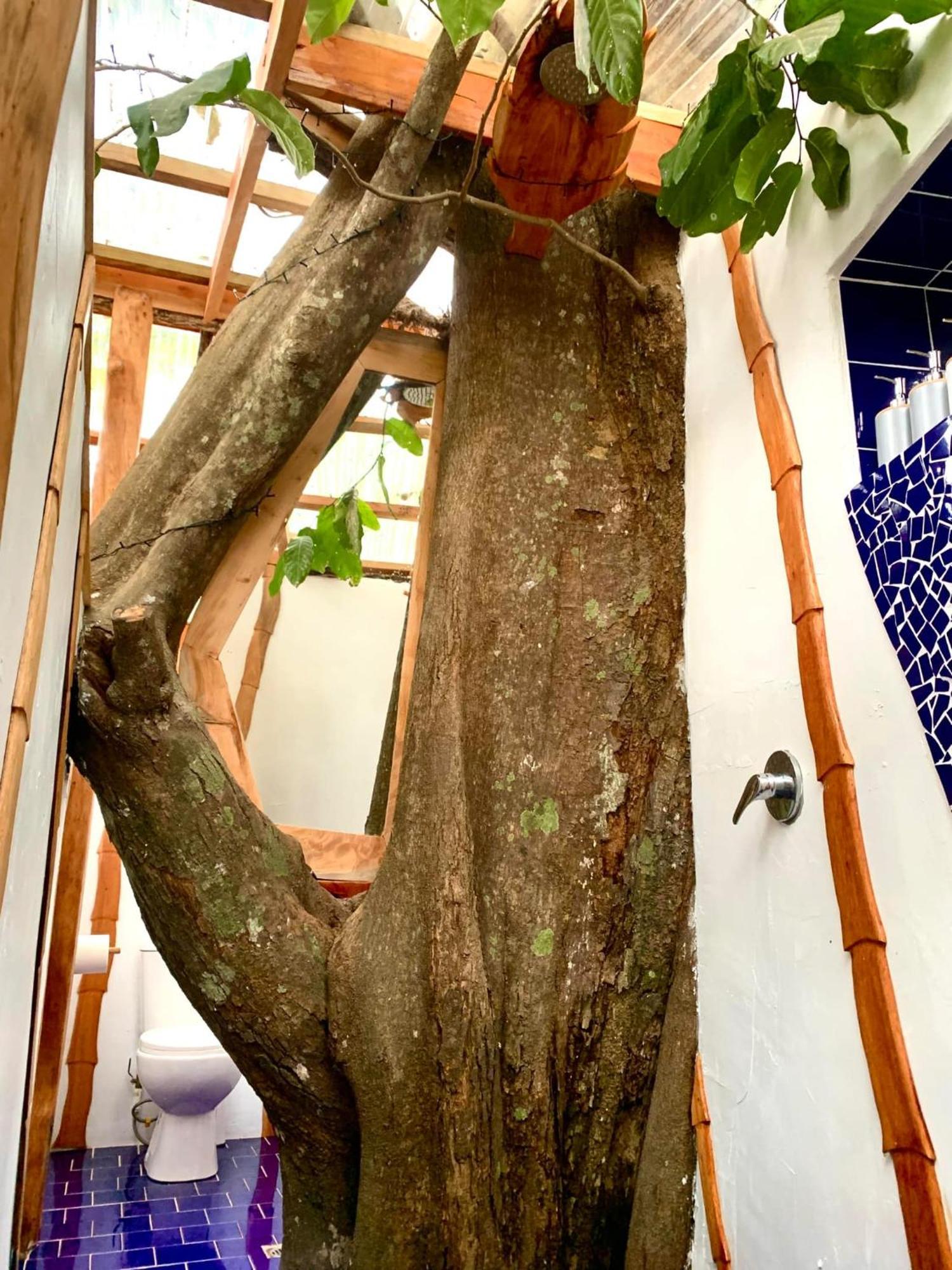 Tukulolo Treehouses Makaunga Εξωτερικό φωτογραφία