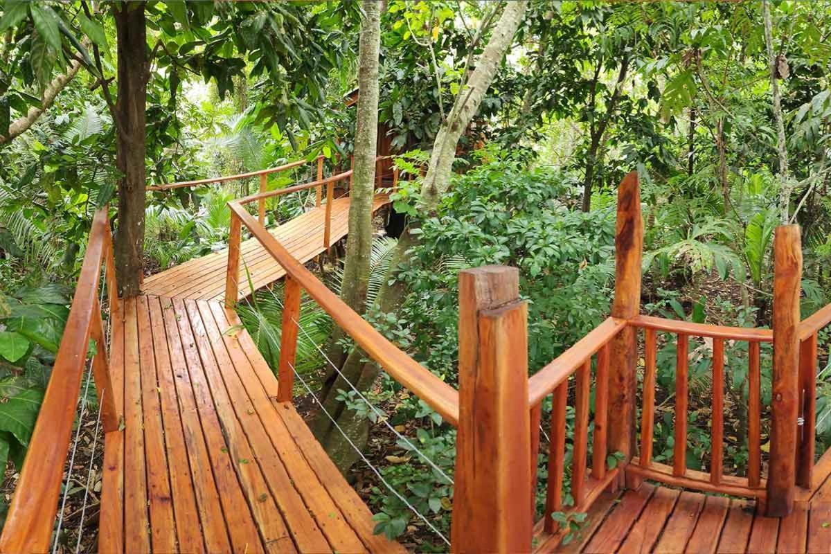 Tukulolo Treehouses Makaunga Εξωτερικό φωτογραφία